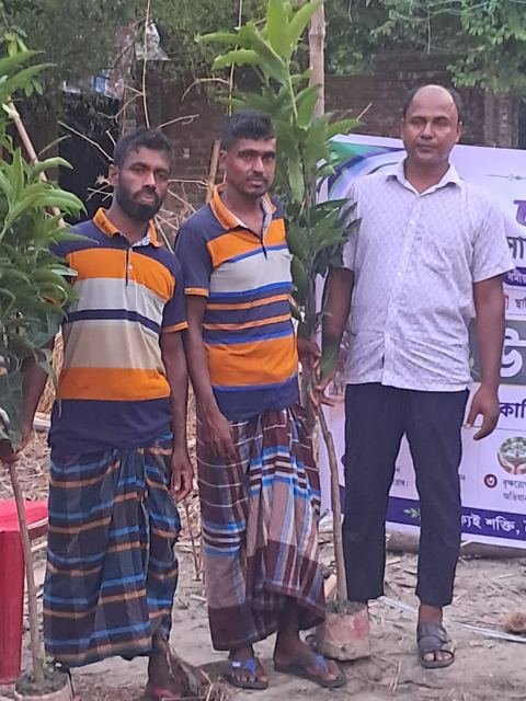 চারা বিতরণ